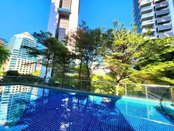 Angullia Park Residences @ Orchard (D10), Apartment #467711071